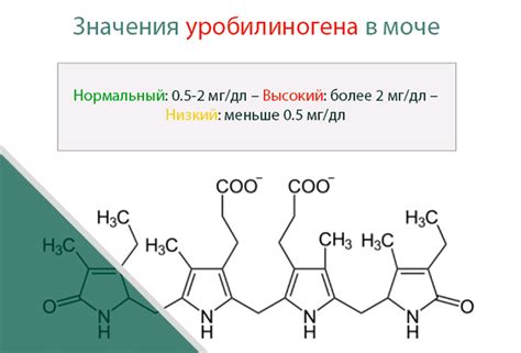 Что такое уробилиноген?