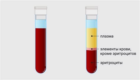 Что такое ускоренное СОЭ?