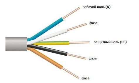 Что такое фаза обсеменения?