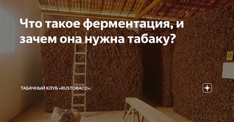 Что такое ферментация и зачем она нужна?