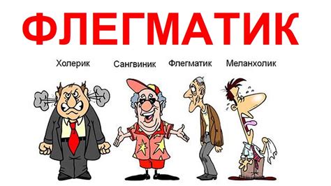 Что такое флегматик?