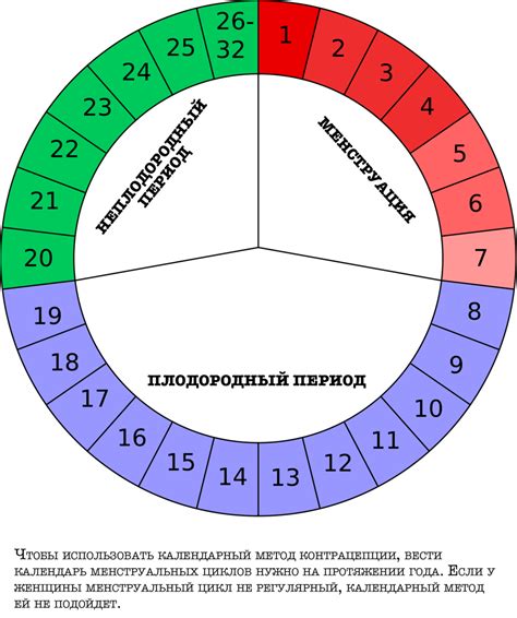 Что такое цикл месячных