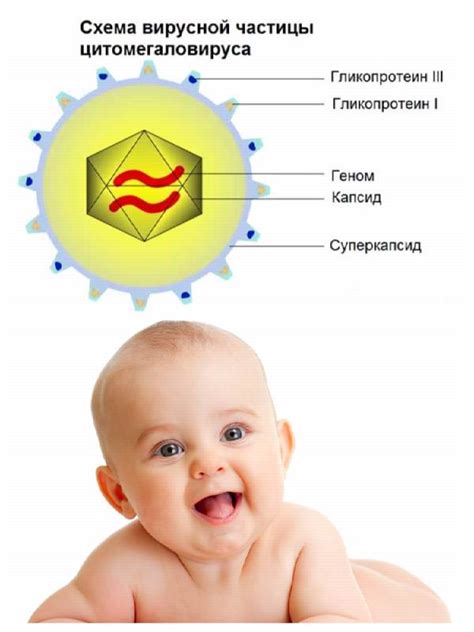 Что такое цитомегаловирус у детей?