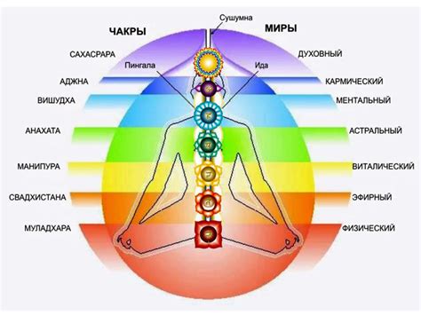 Что такое чакры и их значение для гармонии и равновесия