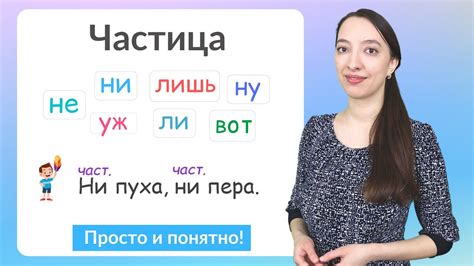 Что такое частица "экс"?