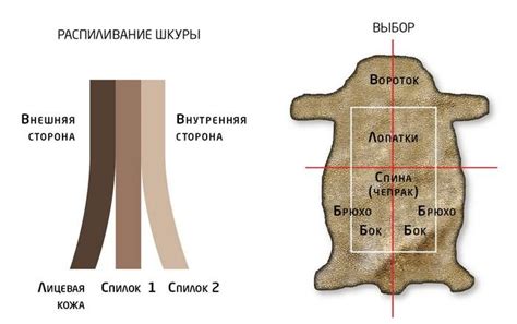 Что такое часть шкуры полукожа