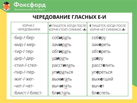 Что такое чередование гласных в русском языке?