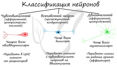 Что такое чувствительный результат