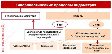 Что такое эндометриальный железистый полип?