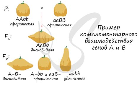 Что такое эпистатическое действие генов и почему оно важно