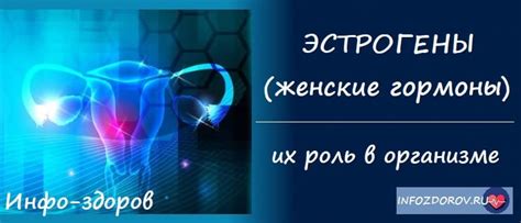 Что такое эстрогены и их роль в организме