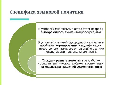 Что такое языковая школа и ее принципы действия