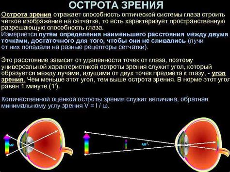 Что такое 1 балл зрения: суть и определение