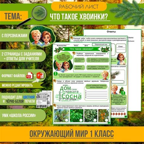 Что такое 3-й мир?