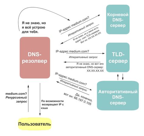 Что такое DNS технопоинт?