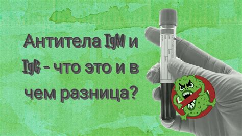 Что такое IgM и каково его значение?