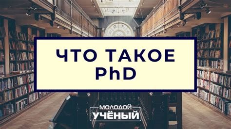 Что такое PhD кандидат?