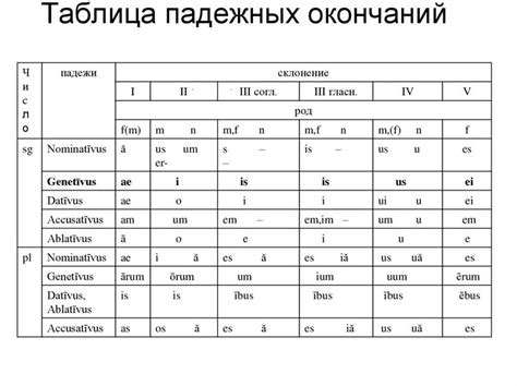 Что такое dixi и что оно означает на латинском?