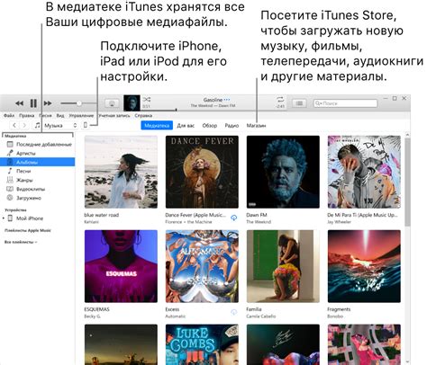 Что такое iTunes Server