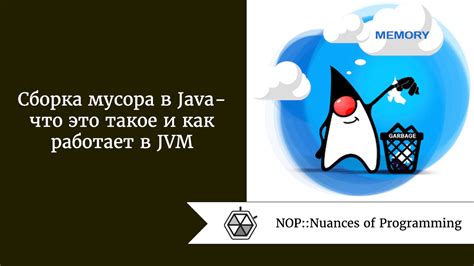 Что такое no JVM и как она работает: особенности и принципы