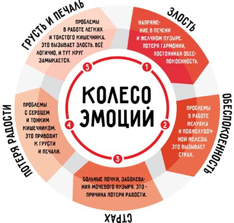 Чувства и эмоции, которые вызывают аналогичные сны