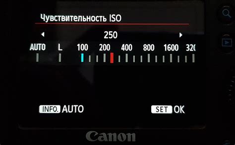 Чувствительность ISO в фотографии: понятие и влияние на качество снимков