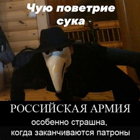 Чую поветрие