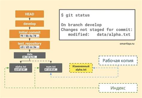 Шаги для клонирования репозитория с помощью команды clone repo в git