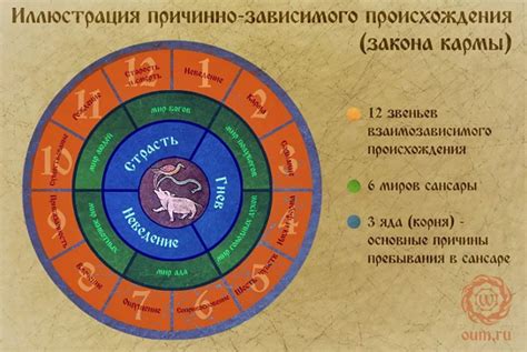 Шаг 2: Изучение причин колеса сансары