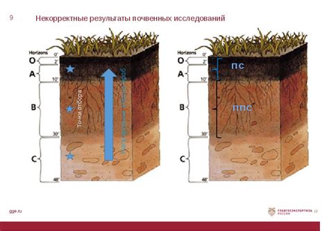 Шаг 6: Создание плодородного слоя почвы