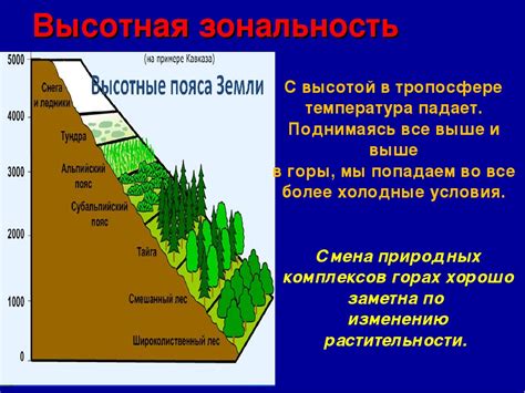 Широтная зональность как фактор разделения климатических областей