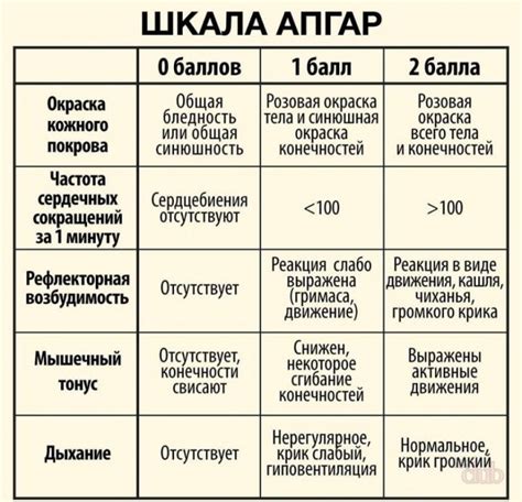 Шкала Апгар: оценка состояния новорожденного ребенка