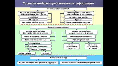 Штарденбурденхарденбарт: основные функции