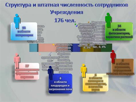 Штатная категория: определение и значение