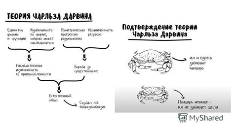 Эволюционная роль пения и напевания