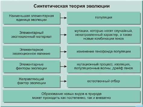 Эволюционный процесс и коммуникация