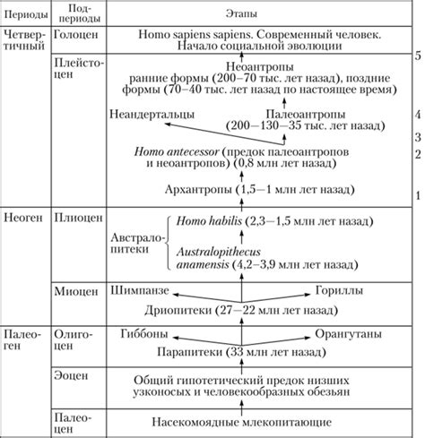 Эволюция как признак совершенства