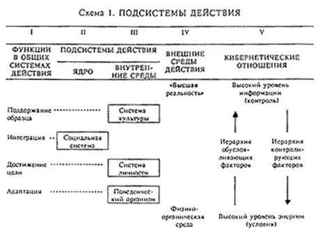 Эволюция панцирной кожи: от древних форм к современным