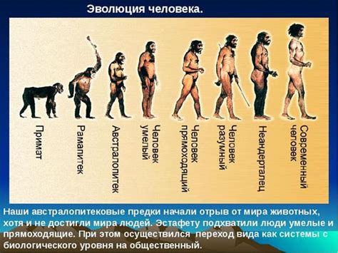 Эволюция работы в истории человечества