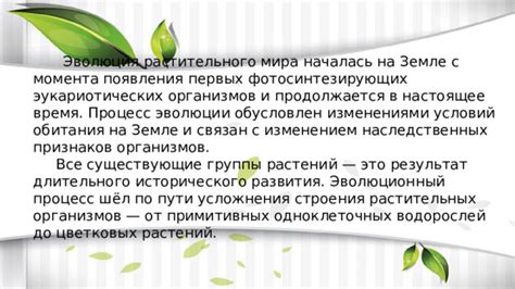 Эволюция растительного мира: от появления до современности