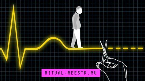 Эвтаназия: значение и последствия