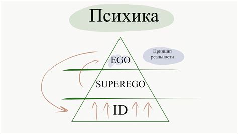 Эго, суперэго и это: ключевые элементы личности