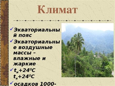 Экваториальный пояс: особенности, климат, растительность