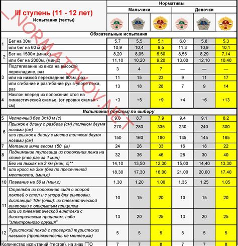 Экзамен ГТО: стандарты и требования