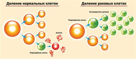 Экзерсисах анабиоза и иммунитет