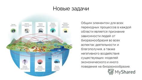 Экологическая важность пасленовых: вклад в поддержание биоразнообразия и баланса природных процессов