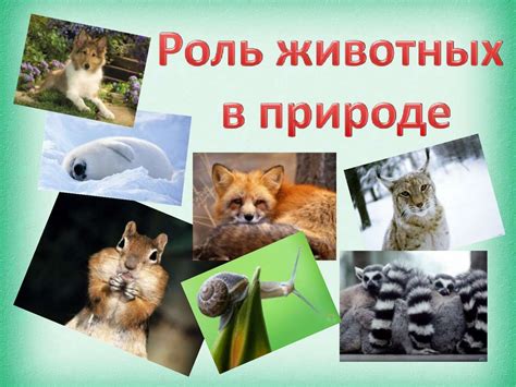 Экологическая роль животных