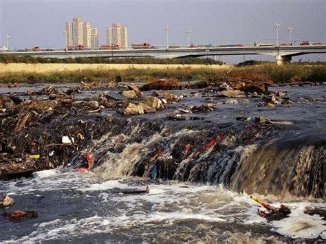 Экологические и экономические последствия разлива воды