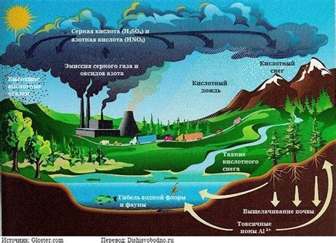 Экологические последствия иссушения