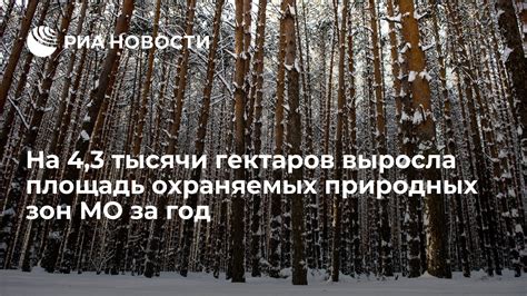 Экологические преимущества охраняемых зон